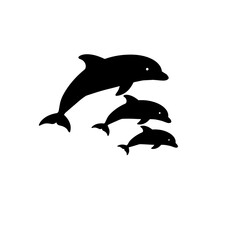 Obraz premium Three dolphins swimming together in the ocean view silhouette