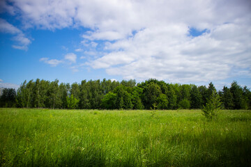 blue sky with clouds green grass and trees