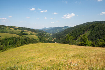 Fototapeta premium Valley under mountain and hills with pasture in front during summer