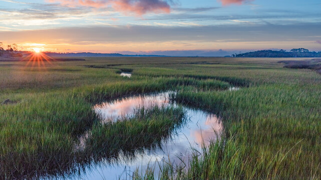 Sunrise over the salt marsh reflecting the beautiful colors   of the sky on a meandering stream through the grasses

