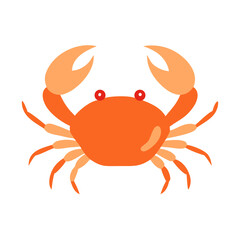 crab on white background