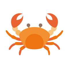 red crab on white background