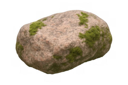 Green moss covering solitary boulder, emphasizing textural organic growth and natural patterns against clean background