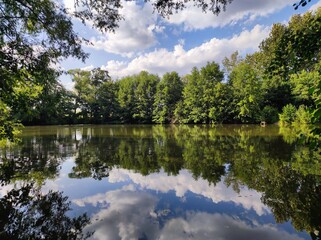 lake and forest - reflection