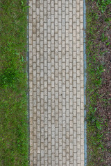 Top-Down View of Straight Brick Paver Pathway with Grass Borders