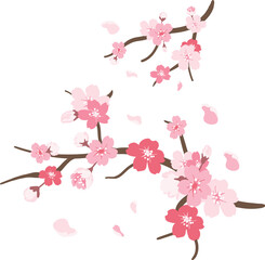 Sakura Blossom Elegance: Graceful Sakura branches, adorned with delicate pink flowers and gentle petal scattering, capture the essence of spring beauty and fleeting moments.