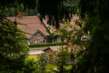 Fototapeta premium Traditional wooden homes with red roofs and stone chimneys seen through dense forest greenery in a peaceful rural setting.