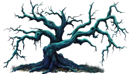 old dead spooky tree on white background