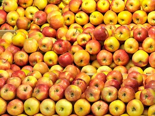 A vibrant display of fresh apples, varying in shades from golden yellow to rosy red, are neatly stacked, creating a visually appealing pattern of healthy produce.
