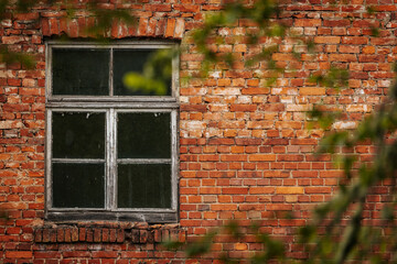 Close-up of a weathered wooden-framed window set in an old red brick wall, partially obscured by...