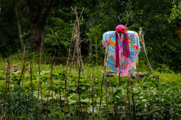 A colorful scarecrow stands in a lush garden, surrounded by green plants and wooden supports, set...