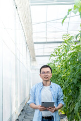 Young man farmer using digital tablet in tomato farm