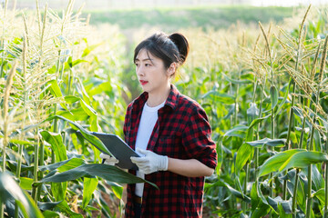 Woman farmer writing data in her corn field