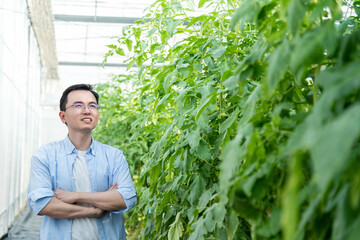 Young man farmer standing in tomato farm