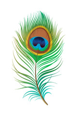 Obraz premium Vibrant Peacock Feather: Close-up Detailed Illustration