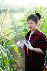 Young woman farmer using digital tablet in corn field