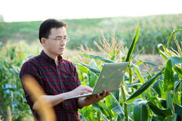 Young man farmer using laptop in corn field