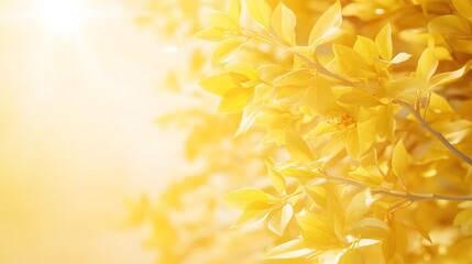 Golden Autumn Leaves Sunlight Background Image