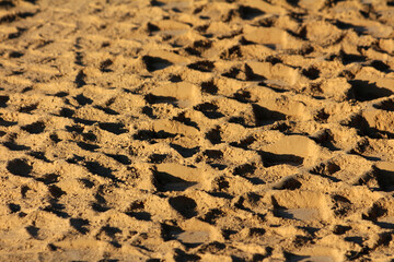Close-up of sandy ground marked by numerous deep footprints, each casting sharp shadows in warm golden sunlight, highlighting texture and human presence