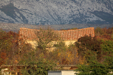 Traditional house with terracotta tiles peeks through dense autumn trees, set against dramatic...