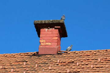 Two pigeons perch on a red brick chimney atop a terracotta tile roof, set against a cloudless blue...