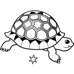 Fototapeta premium indian-star-tortoise---domed-shell---star-pattern