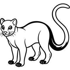 Obraz premium fossa---slender-predator---big-eyes---long-tail-