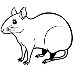 Obraz premium agouti---rodent-shape---small-face---long-legs