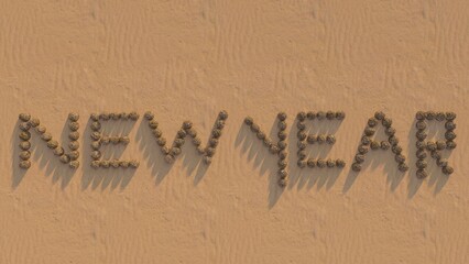 New Year's Message in Sand