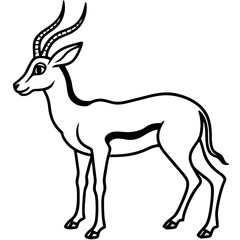 Fototapeta premium gazelle---slim-legs---curved-horns---graceful-pose.