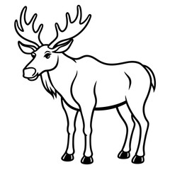 Fototapeta premium moose---big-antlers---legs-and-snout---details