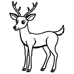 Fototapeta premium deer---slim-legs---antlers---eyes-and-tail