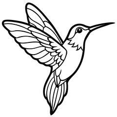 Obraz premium hummingbird---tiny-shape---wings-and-beak---finali 