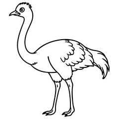 Obraz premium flamingo---body---neck---beak-and-legs---tail-and-