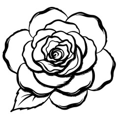  camellia-bloom--soft-brush-strokes