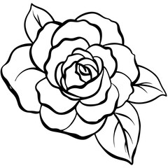  camellia-bloom--soft-brush-strokes