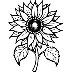 vintage-sunflower-botanical-drawing.