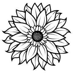 vintage-sunflower-botanical-drawing