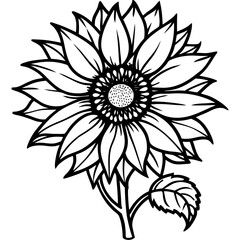 vintage-sunflower-botanical-drawing
