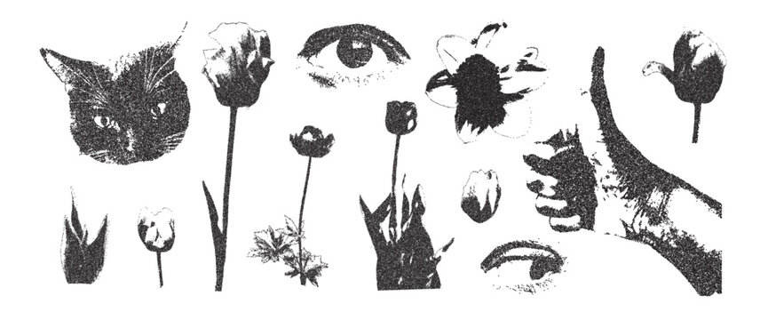 Flowers, cat and human eye collage set. Cutout photocopy simple floral, thumb up hand elements. Pieces of retro magazine halftone wildflowers. Vector retro illustration isolated on white background.