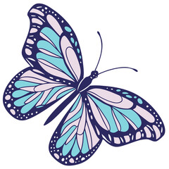 butterfly vector icon on white background