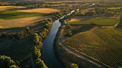 Aerial View of Colorado River Valley: Vivid Agriculture Land Near Brighton with Cottonwood Ditches and Scenic City Landscape