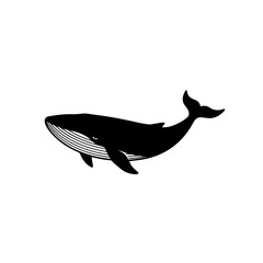 Fototapeta premium Whale and dolphin day celebration graphic with elegant whale illustration. This detailed whale image is perfect for marine conservation projects.