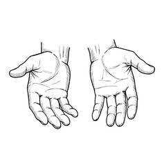 Two hands cupped open in giving gesture. Hands illustration depicts helping hands reaching out to offer support or assistance.  Concept image ideal for charity campaigns, volunteer work,