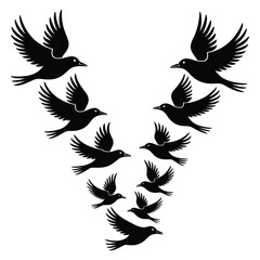 Obraz premium Flock of birds flying in V-formation for nature and wildlife-themed vector design