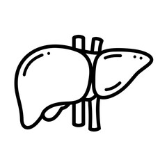 Liver anatomical illustration for World Hepatitis Day.  Detailed medical drawing shows human liver organ.