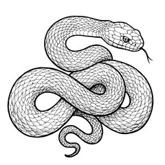 Obraz premium Detailed snake illustration for World Snake Day. This intricate drawing features scales and coils, perfect for nature documentaries, educational materials, or reptile-themed designs.