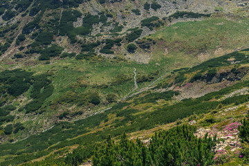 mountain landscape in summer 