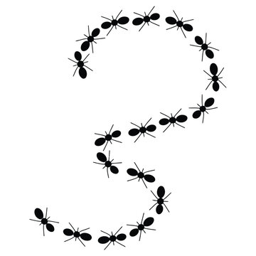 black ants forming letter s clip art preview