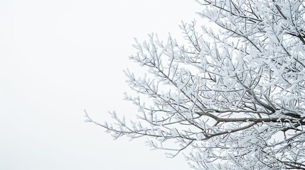 Obraz premium Frozen weather scene concept with frost surface and clear cold background